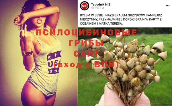 меф Алексеевка
