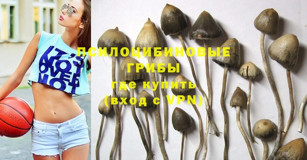 героин Алексин