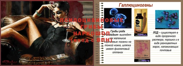 героин Алексин